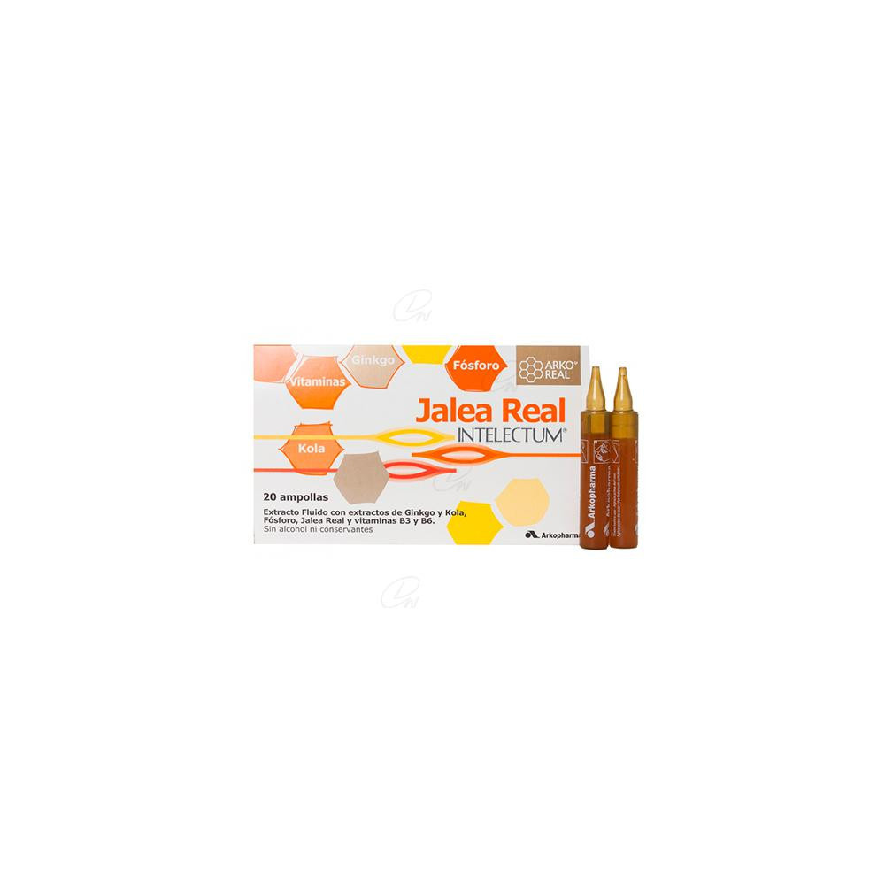 JALEA REAL INTELECTUM CON FOSFORO AMPOLLAS BEBI